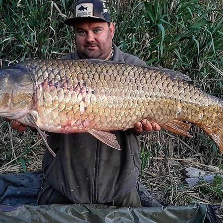 R U Ready Fishing, River Ebro Mequinenza Exterior foto