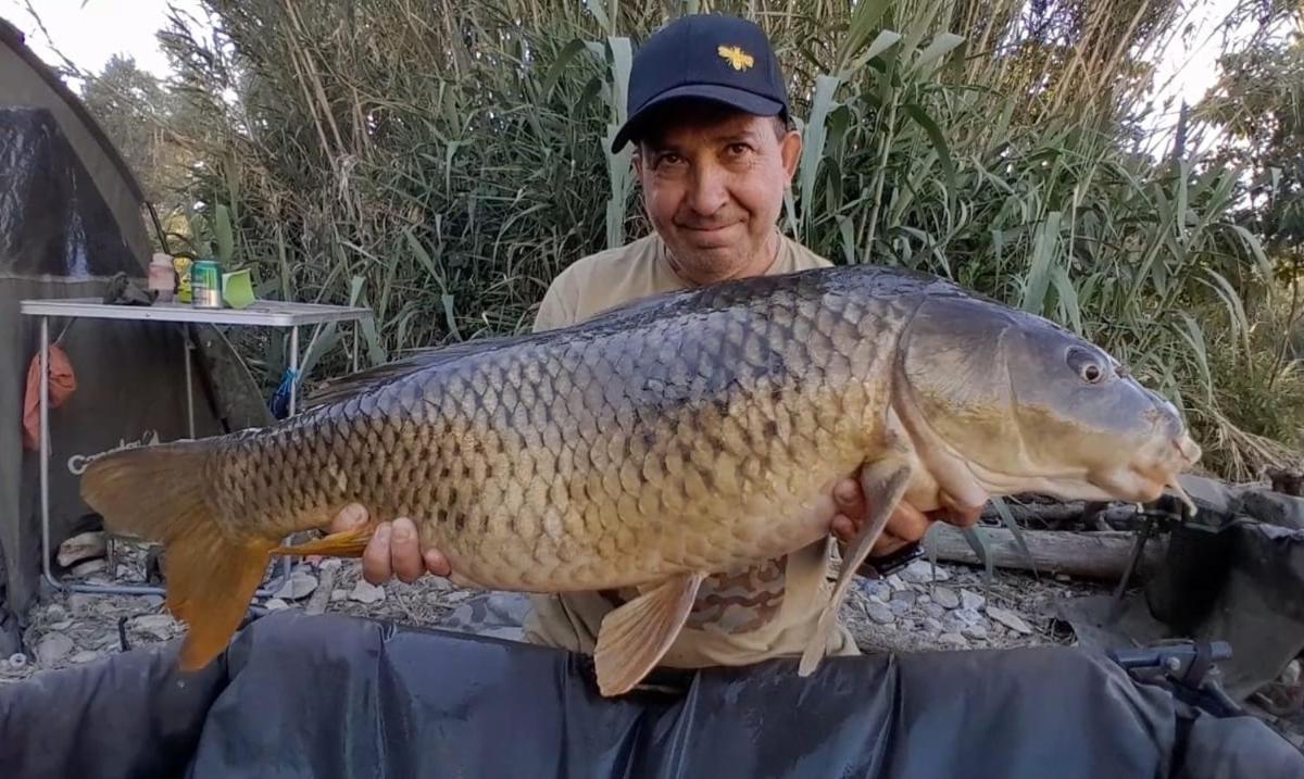 R U Ready Fishing, River Ebro Mequinenza Exterior foto