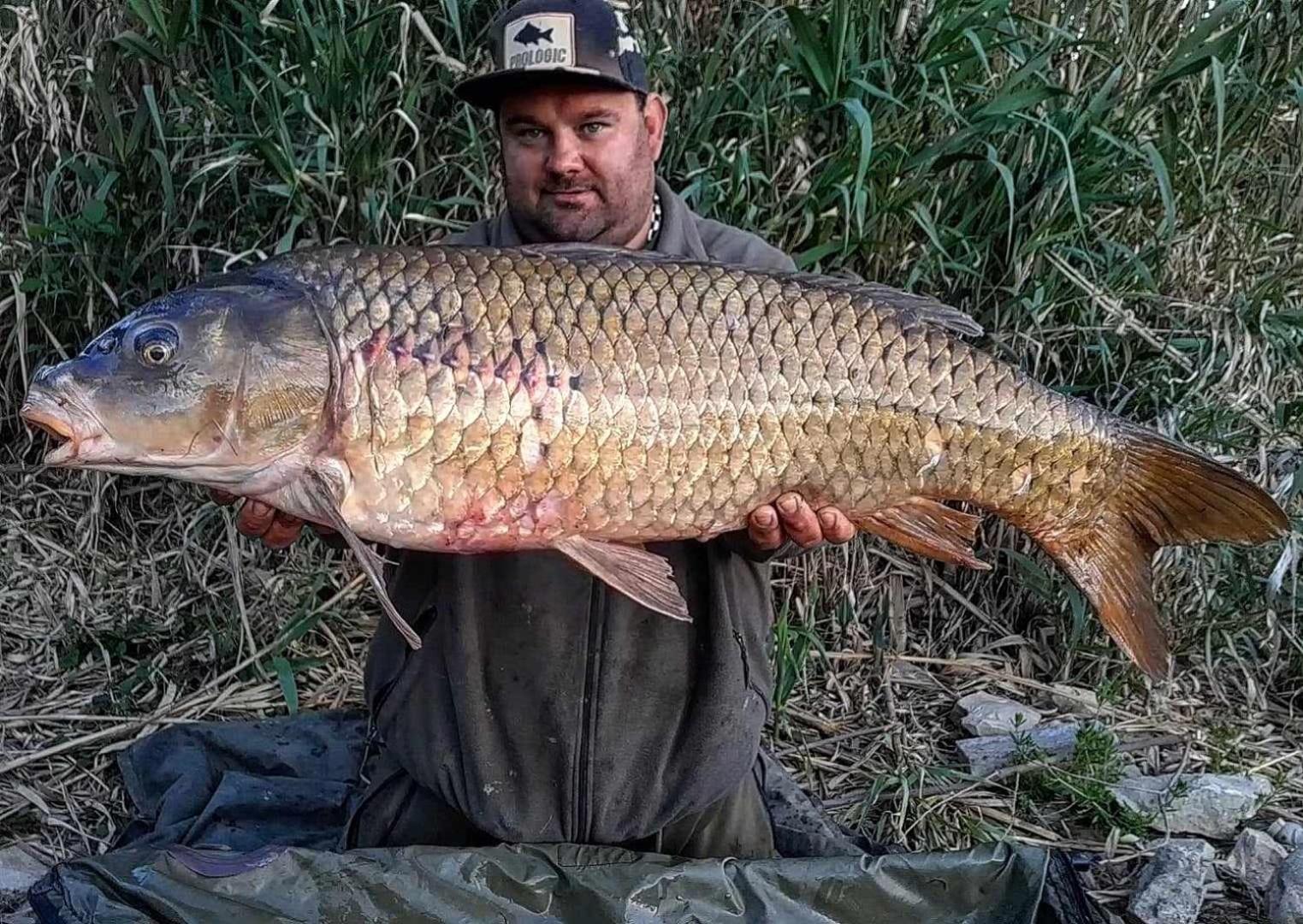 R U Ready Fishing, River Ebro Mequinenza Exterior foto